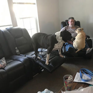 Meet your Posher, Janet